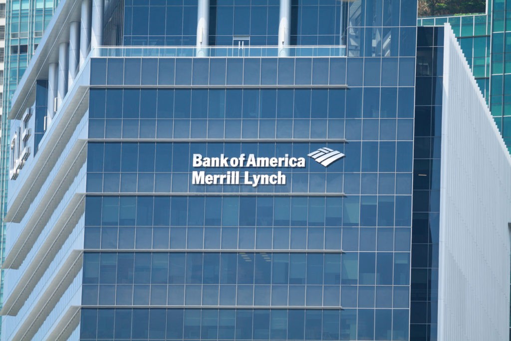 Bank of america online investing powered by merrill lynch bogleheads investing philosophy makeup