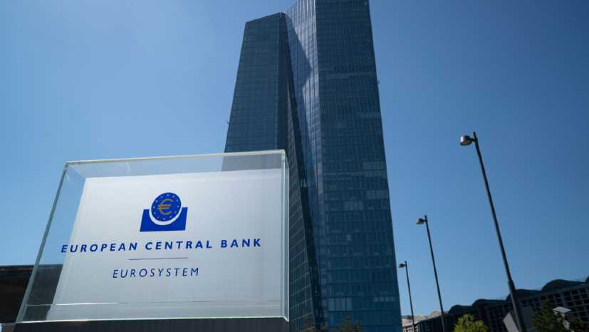 ECB pandemic stimulus