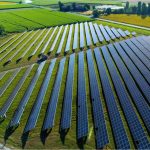 Bouygues solar farms