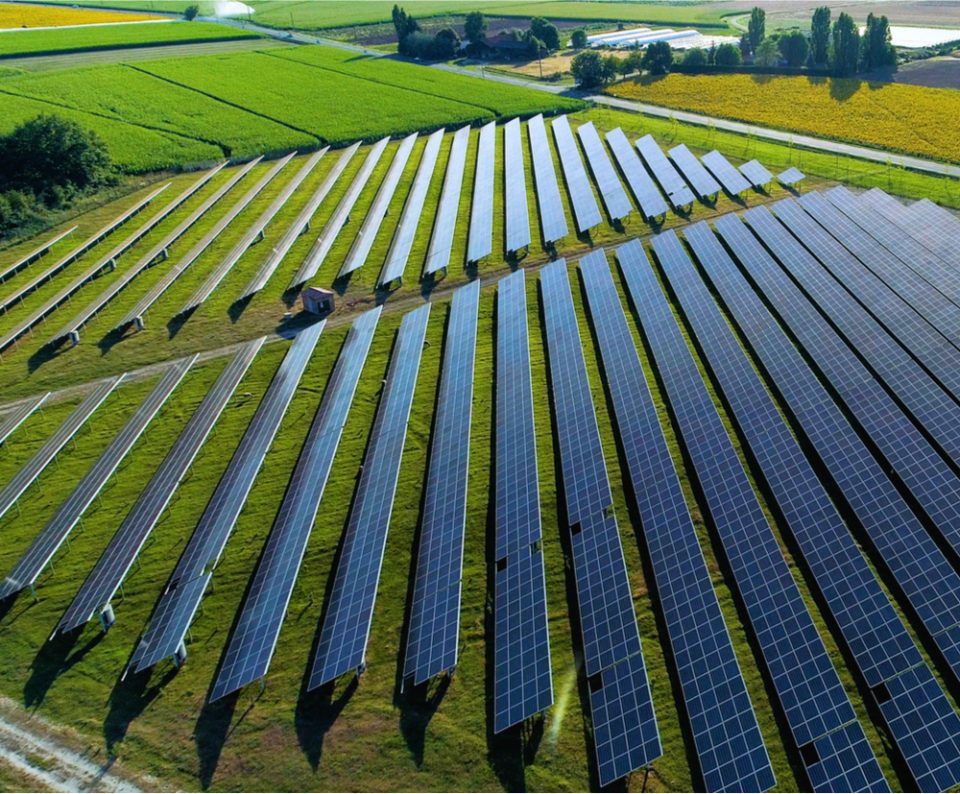 Bouygues solar farms