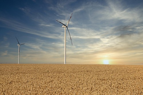 Morocco wind farm_IF_Image