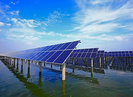 Sunseap-Solar-panel-farm_IF_Image