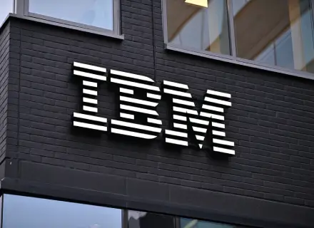 IFM_IBM