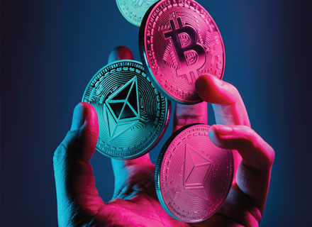 The making of a crypto dynasty