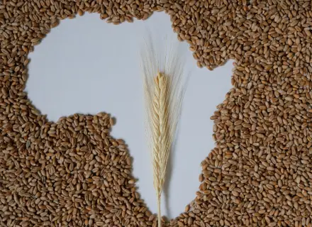IFM_Africa Food Security
