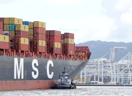 IFM_Mediterranean Shipping Company