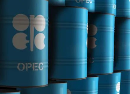 IFM_OPEC