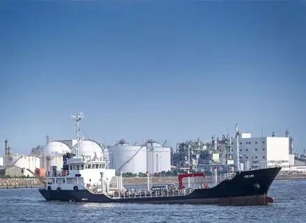 IFM_Japan
