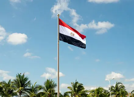 IFM_Egypt