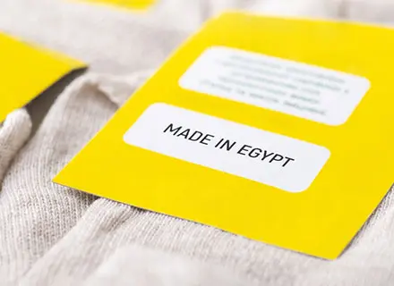 IFM_Egypt
