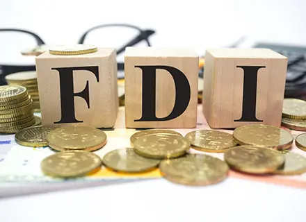 IFM_FDI