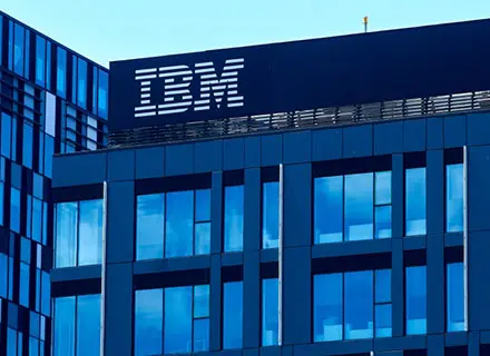 IFM_IBM